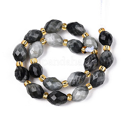 Натуральный орлиный глаз бусы G-N342-53-8x6-03