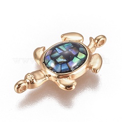 Соединители звеньев раковины морского ушка / ракушки пауа&nbsp;BSHE-F012-10