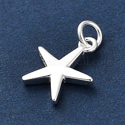 925 Sterling Silber Charme&nbsp;FIND-Z069-04S-A