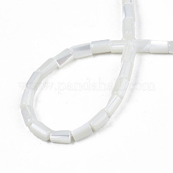 Нити бусин из натуральных пресноводных ракушек X-SHEL-N003-26-A01