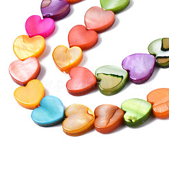 Нити бусин из натуральных пресноводных ракушек SHEL-S278-024A