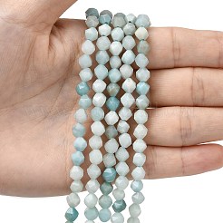 Натуральный цветок амазонитовые бусины пряди G-Z119-A09-01