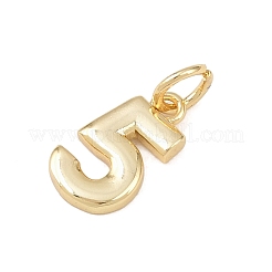 Breloques en laiton&nbsp;KK-G544-10G-05