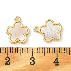 Подвески из латунных ракушек KK-M277-04A-G