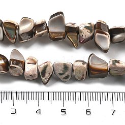 Окрашенные нити натуральных бусин-ракушек трохуса&nbsp;BSHE-Z006-01B