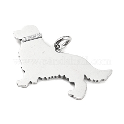 Подвески из нержавеющей стали 304&nbsp;X-STAS-E205-10P