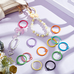 30 шт. двухцветные железные разъемные брелоки для ключей&nbsp;IFIN-SC0001-62