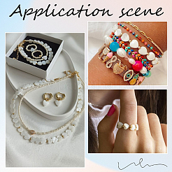 1 нить бусины из натуральных пресноводных ракушек&nbsp;SHEL-SC0001-34