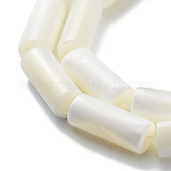 Нити бусин из натуральной ракушки трохус SSHEL-S266-020A-05