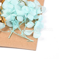 Fiore essiccato&nbsp;DIY-B018-03