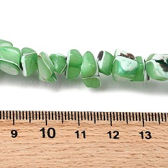 Chapelets de perles de coquille de trochid / trochus coquille&nbsp;SHEL-B003-02D