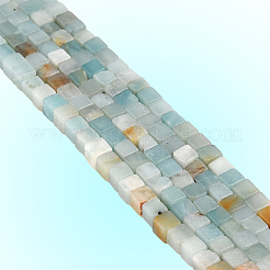 2 нити натуральных цветочных бусин амазонита нити&nbsp;G-PA0001-80