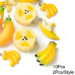 10шт 5 стиля непрозрачные подвески из смолы&nbsp;RESI-YW0001-76