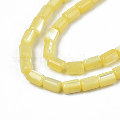 Fili di perle di conchiglia trochid naturale / trochus&nbsp;SHEL-N003-26-B10
