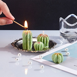 Kits de moules à plantes succulentes à faire soi-même&nbsp;DIY-GF0003-19