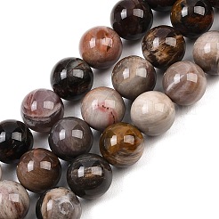 Природные окаменелое дерево бисер пряди&nbsp;G-L648-A03-16mm-02