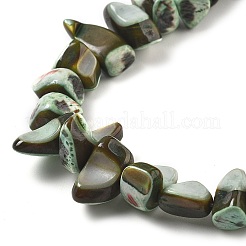 Окрашенные нити натуральных бусин-ракушек трохуса BSHE-Z006-01A