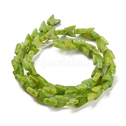Fili di perline howlite naturale&nbsp;TURQ-K006-01B