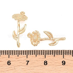 Латунные подвески&nbsp;KK-A288-01G-10
