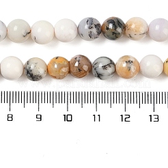 Bianco naturale africano opale perle fili&nbsp;G-E472-02-8mmC