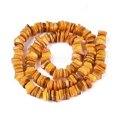 Нити бусин из натуральных пресноводных ракушек SHEL-N037-01A