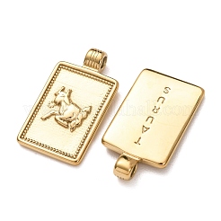 Pendentifs en acier inoxydable 304&nbsp;STAS-C184-11G-08