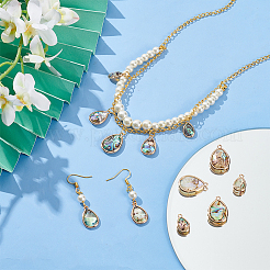 12 шт. подвески из натуральной ракушки пауа в 3 стилях SHEL-BC0001-038