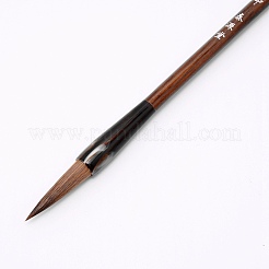 Borste chinesische Kalligraphie Pinselstift&nbsp;TOOL-WH0132-20B-B