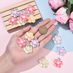 15шт полупрозрачные подвески из смолы&nbsp;RESI-YW0004-55