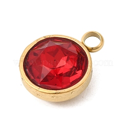 Подвески из нержавеющей стали с тематикой камней по знаку зодиака января&nbsp;STAS-K239-01G-A01