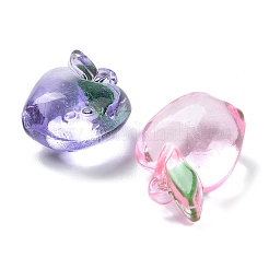 Прозрачные акриловые подвески&nbsp;OACR-B032-05