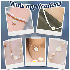 20шт натуральные пресноводные бусины из ракушек SHEL-NB0001-65B