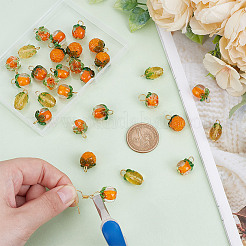 10 шт. 5 стиля подвески из стекла и лэмпворка PALLOY-AR00021