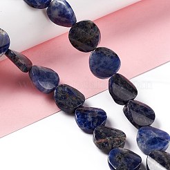 Perline sodalite naturale fili&nbsp;G-O120-14