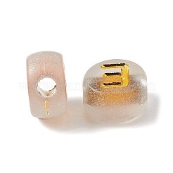 Светящиеся прозрачные акриловые бусины&nbsp;OACR-P037-01B-E