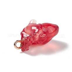 Прозрачные смоляные подвески RESI-E028-01G-03