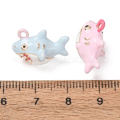 Pendentifs d'émail en alliage&nbsp;AL-CBA61EE-04