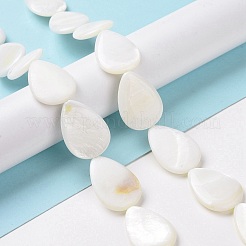 Нити бусин из натуральных пресноводных ракушек X-SHEL-H001-12