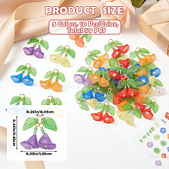 50 Uds. Colgantes acrílicos transparentes de 5 colores&nbsp;PALLOY-SZ00070