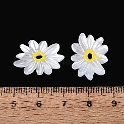 Натуральный белый оболочки подвески SHEL-T020-66