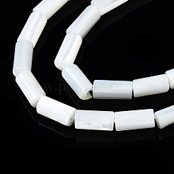 Нити бусин из натуральных трохоидных/трохус ракушек&nbsp;SSHEL-S266-020A-02