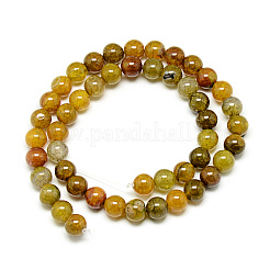 Природных вены драконов агат бисер нитей&nbsp;G-Q948-81F-8mm