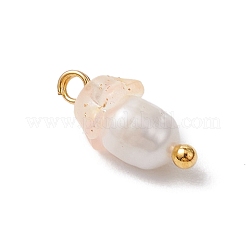 Цветочные акриловые подвески PALLOY-JF03588-06