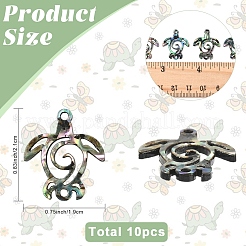 10 шт. подвески-соединители из натуральной ракушки пауа&nbsp;SHEL-YW0001-16