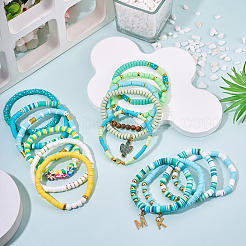 15шт полимерная глина бусины хейши браслеты наборы&nbsp;BJEW-TA00679