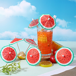 2 пакетик с рисунком арбуза AJEW-CP0007-28