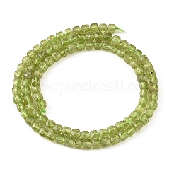 Natürlichen Peridot Perlen Stränge&nbsp;G-K376-D03-4x4mm