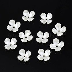 Tappi di perline con perla imitazione plastica a 4 petalo, fiore, bianco crema, 10.5x10.5x4.5mm, Foro: 1.5 mm
