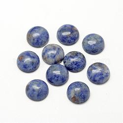 Cabujones de jaspe de punto azul natural, medio redondo / cúpula, 20x6mm