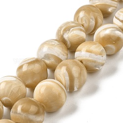 Natural Trochus Shell Beads Strands, Round, BurlyWood, 16.5~17mm, Hole: 1.2mm, about 23pcs/strand, 14.92''~15''(37.9~38.1cm)